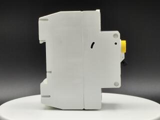 Устр-во защитного отключения 16/0,03А (АС), 2 полюса, устойчивость к импульсному току 250А, устойчивость к КЗ 6 кА