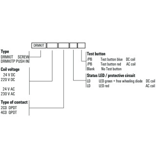 Аксессуар DRMKIT 24VDC 2CO LD/PB