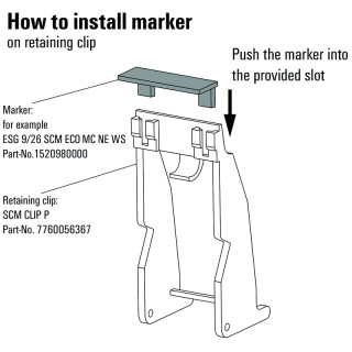 SCM CLIP P