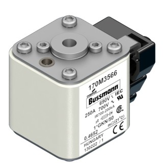 Быстрый предохранитель 250A 690V 1*GKN/50 AR UC