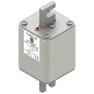 Быстрый предохранитель 250A 1250V 2/110 AR CU