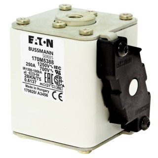 Быстрый предохранитель 250A 1250V 2BKN/75 AR CU