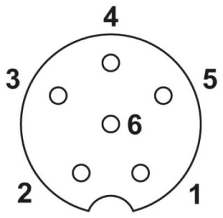 SAC-6P-M 8MR/ 5,0-PUR/M8FS