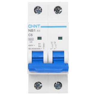 Автоматический выключатель NB1-63 2P 6A 6кА х-ка C (R)