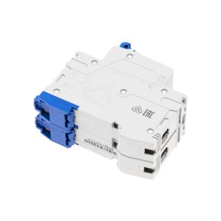 Автоматический выключатель NB1-63 2P 6A 6кА х-ка C (R)