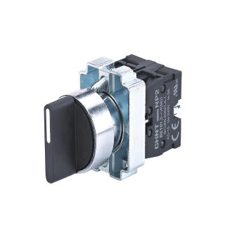 Переключатель NP2-BD25, 2 положения с фиксацией, 1НЗ +1НО IP40 (CHINT)